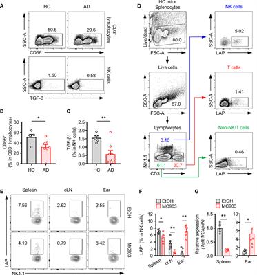 CD1dhiPD-L1hiCD27+ Regulatory Natural Killer Subset Suppresses Atopic Dermatitis